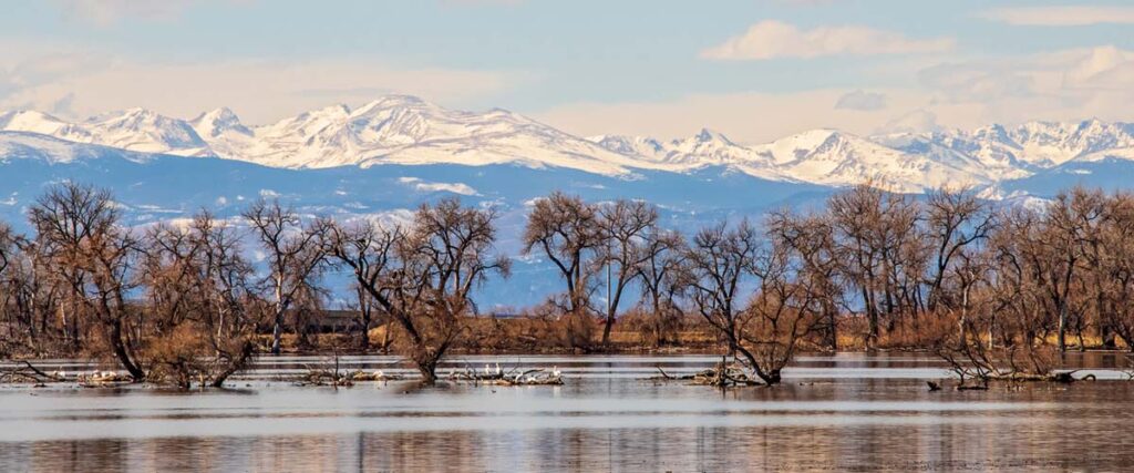Blind Solutions of Colorado in Brighton, CO