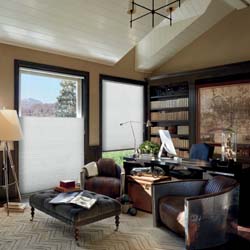 Duette Cellular Shades