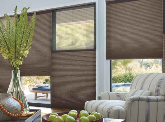 Duette Cellular shades