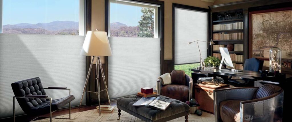 Duette® Cellular Shades in the Living Room