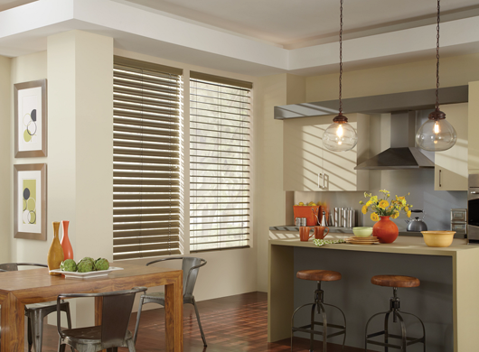 Modern Precious Metals Mini Blinds in Kitchen