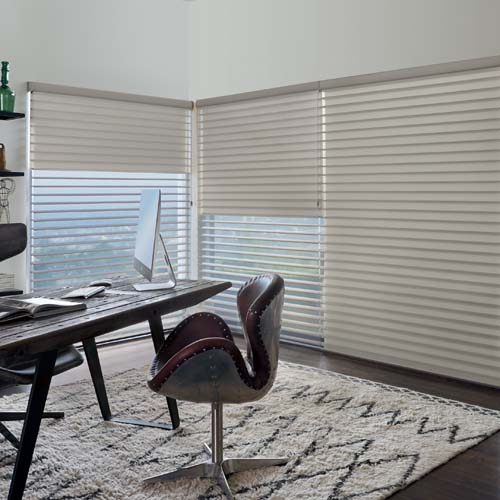 Silhouette Duolite Sheer Shades in Office