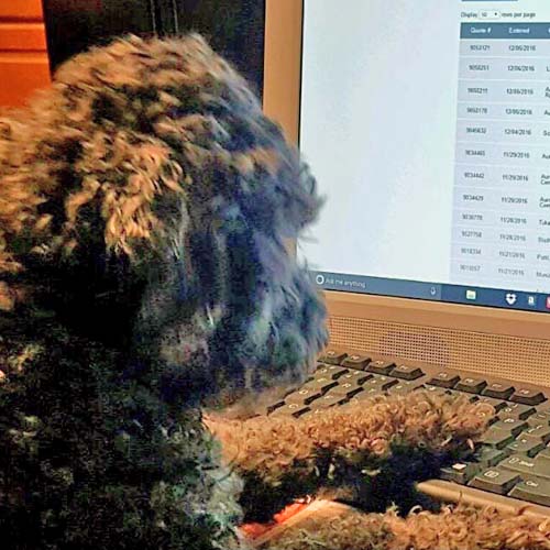 Sam at the computer